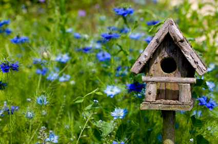 Birdhouse Among the Flowers Birdhouse Among the Flowers