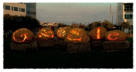 Google giant pumpkins 10 31 2011 Google giant pumpkins 10 31 2011