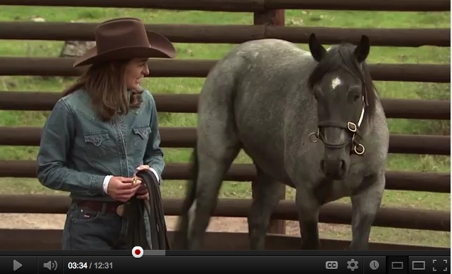 Koelle Simpson TED talk on YouTube screenshot Koelle Simpson TED talk on YouTube (screenshot of Koelle and horse)